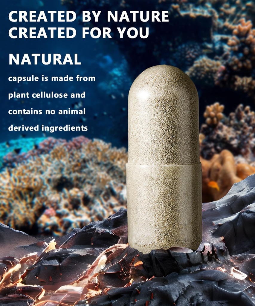 irish-sea-moss-capsules-120-count---adva-5.jpg
