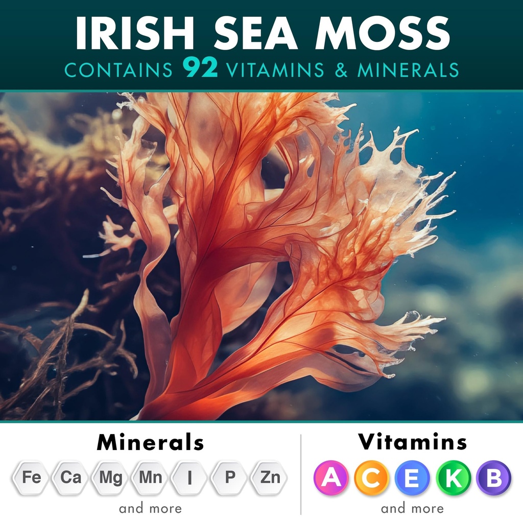 secret-element-irish-sea-moss-black-seed-3.jpg