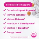 pink-stork-morning-sickness-sweets-organ-3.jpg