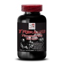 muscle-recharge-tribulus-terrestris-extr-2.jpg