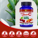 100-plant-based-vitamin-c-60-capsules-12-2.jpg