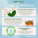 eclectic-institute-kids-herbs---st-johns-3.jpg