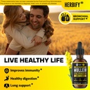 herbify-bundle-mullein-leaf-extract-chlo-3.jpg