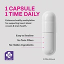 md-life-l-methylfolate-75-mg-supplement--4.jpg