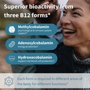 igennus-triple-vitamin-b12-complex-5000m-3.jpg
