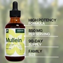 mullein-leaf-4-fl-oz-liquid-extract---na-5.jpg
