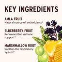 banyan-botanicals-organic-elderberry-hon-5.jpg