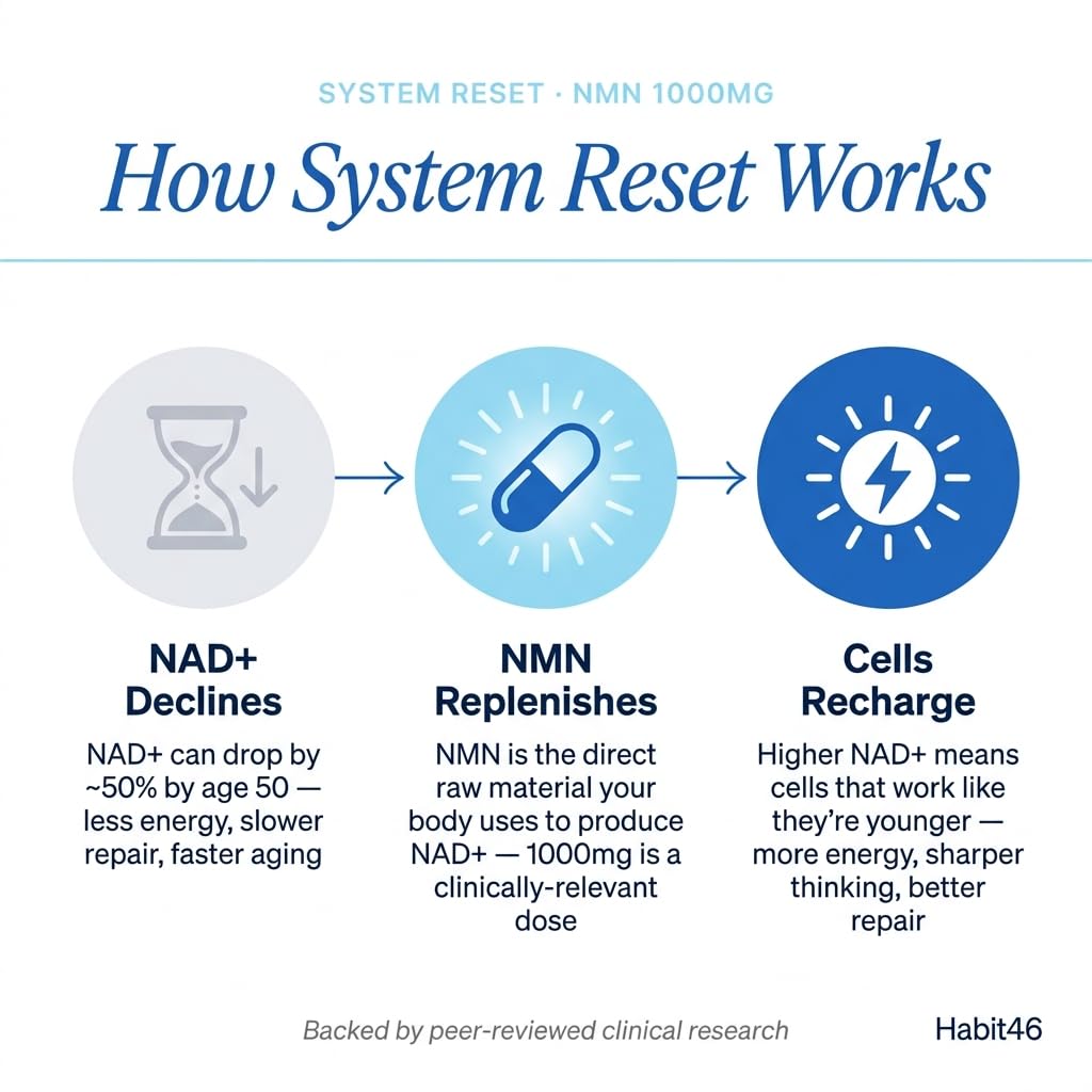 system-reset-1000mg-nmn-nad-precursor-su-4.jpg