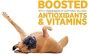 maxxipaws-sam-e-uti-bundle-maxxisame-adv-3.jpg
