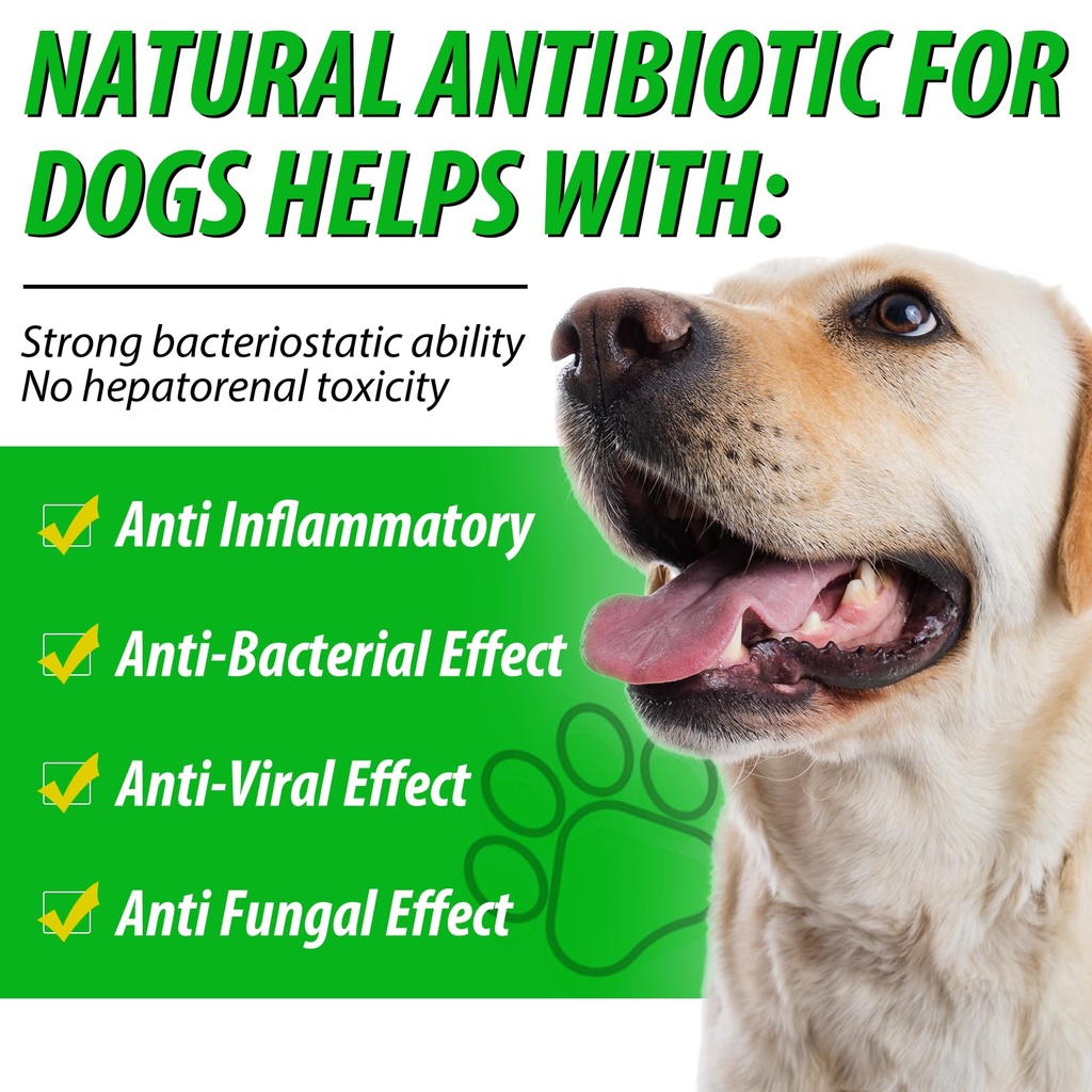 dog-antibiotics-natural-antibiotics-for--2.jpg