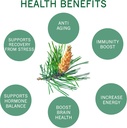 incas-100-usda-organic-pine-pollen-powde-5.jpg