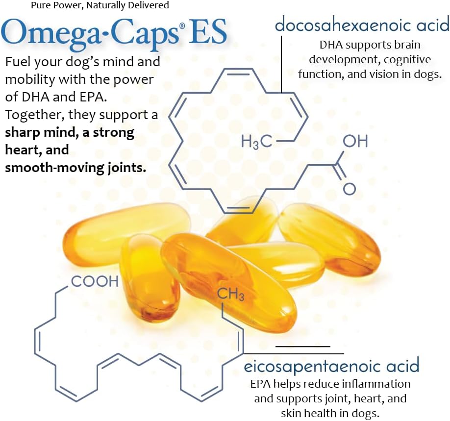 omega-caps-es-for-large-giant-dogs---ome-5.jpg