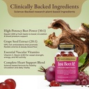 just-beet-it-beet-root-gummies-blood-pre-4.jpg