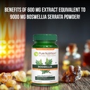 pure-nutrition-boswellia-serrata-extract-3.jpg
