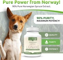 lignans-for-life-hmr-lignans-10mg-capsul-2.jpg