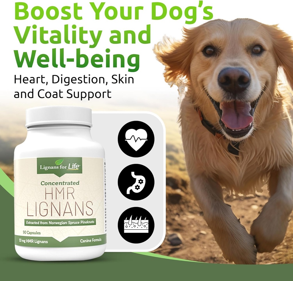 lignans-for-life-hmr-lignans-10mg-capsul-3.jpg