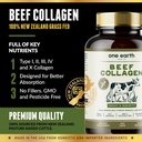 grass-fed-beef-collagen---new-zealand-so-3.jpg