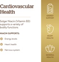 solgar-niacin-vitamin-b3-500-mg-250-vege-4.jpg