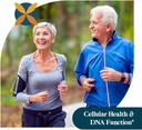 pattern-wellness-quercetin-supplement-wi-5.jpg