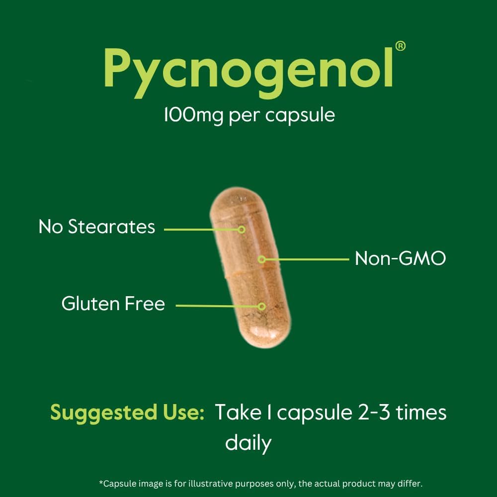 bestvite-pycnogenol-100mg-60-capsules----5.jpg
