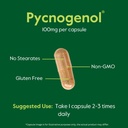 bestvite-pycnogenol-100mg-60-capsules----5.jpg