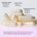 lactobacillus-rhamnosus-reuteri-gasseri--5.jpg