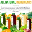 3-day-juice-cleanse-by-raw-fountain-all--5.jpg
