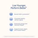 prohealth-nmn-pro-1000-60-capsules-3-pac-3.jpg