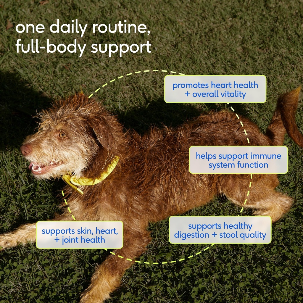 native-pet-omega-3-fish-oil-for-dogs-8oz-2.jpg