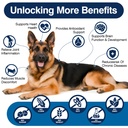 omega-3-skin-and-coat-supplement-for-dog-6.jpg