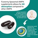 liposomal-ampk-activator-2000-mg---high--4.jpg