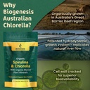 biogenesis-organic-spirulina-chlorella-m-5.jpg