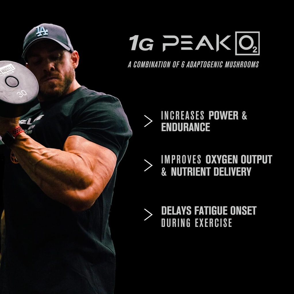 jacked-factory-muscle-builder-supplement-2.jpg