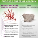 vegan-whole-food-multivitamin-with-iron--6.jpg