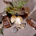 lions-mane-mushroom-capsules-australian--4.jpg