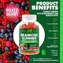 sea-moss-3000mg-gummies-with-bladderwrac-3.jpg
