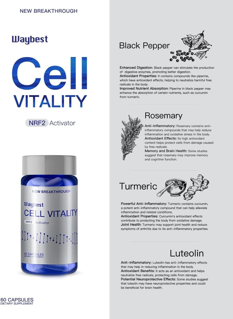 nrf2-activator-antioxidant-supplements-f-6.jpg