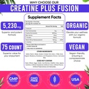 adndale-creatine-monohydrate-gummies-for-4.jpg