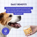 wonder-paws-organic-turkey-tail-mushroom-3.jpg