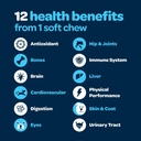 12-in-1-complete-multivitamin-for-dogs-d-5.jpg