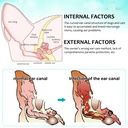 ear-mites-treatment-for-dogs-cats-cat-ea-2.jpg