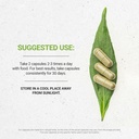 secrets-of-the-tribe-juniper-120-capsule-3.jpg
