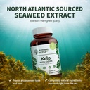 natural-nutra-kelp-iodine-thyroid-suppor-4.jpg