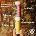 drinklits-lemon-daily-immune-support-tab-2.jpg