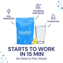 blowfish-for-hangovers---fast-hangover-r-2.jpg