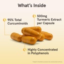 jarrow-formulas-curcumin-95-500mg-and-b--4.jpg
