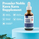 rejuvica-health-active-kava-kava-nocture-2.jpg