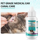 ear-mite-treatment-for-dogs-and-cats-cat-4.jpg