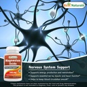 best-naturals-ashwagandha-extract-500-mg-5.jpg