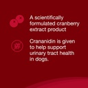 nutramax-crananidin-for-dogs-urinary-tra-4.jpg